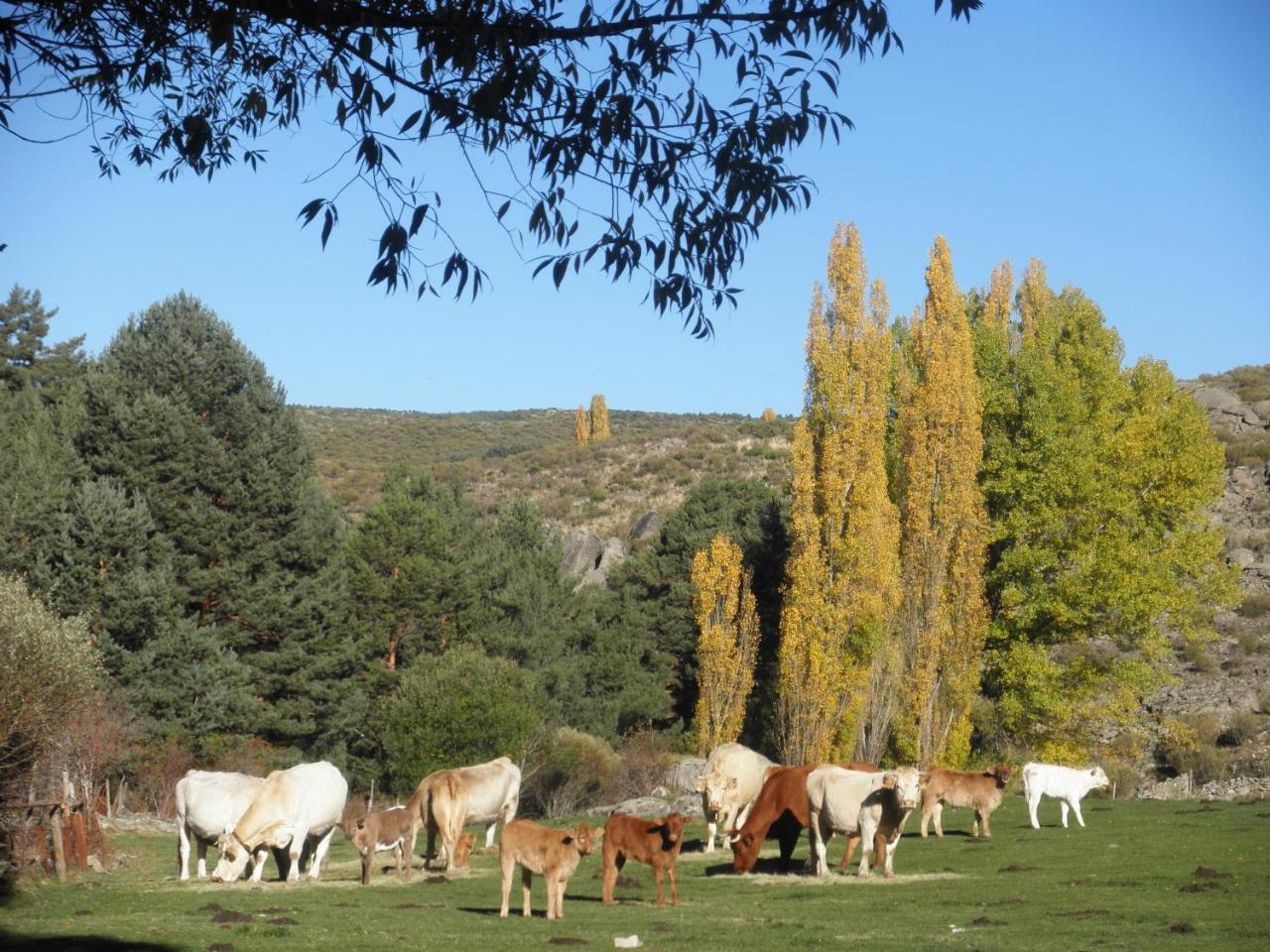 בית הארחה Hoyos del Collado 	La Casona De Collado מראה חיצוני תמונה